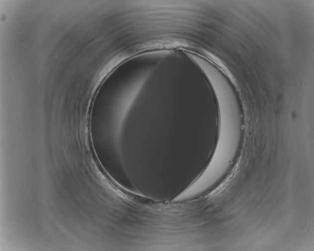 X0000076440802200610161245