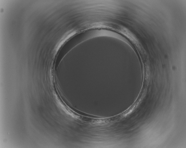 X0000076440806200610161245