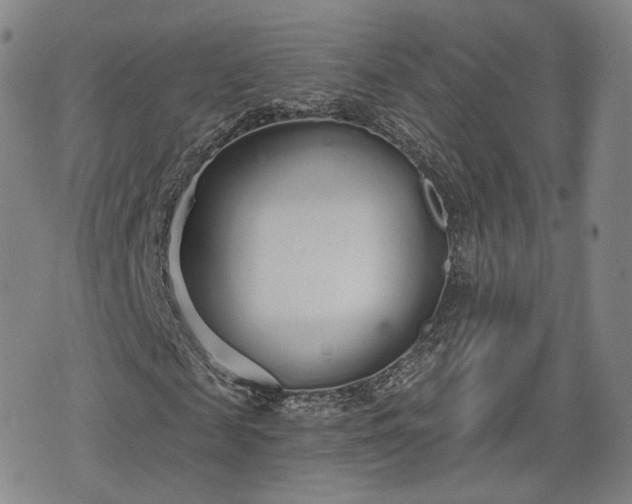 X0000076440817200610161244
