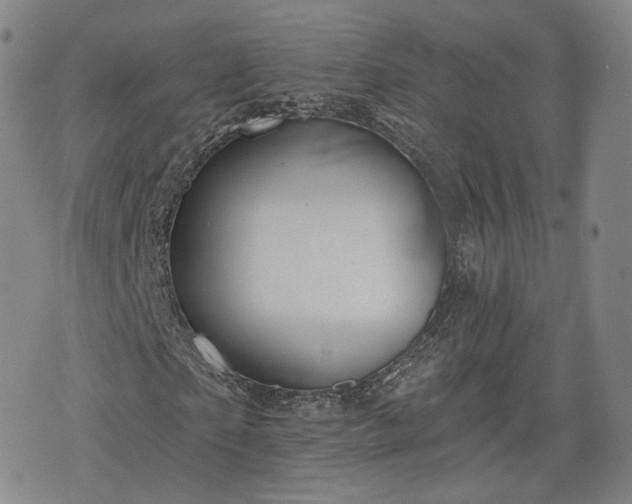 X0000076440865200610161244