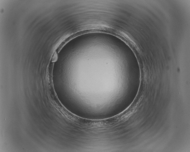 X0000076440883200610161243