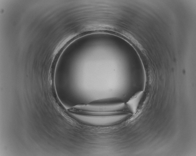 X0000076440885200610161243