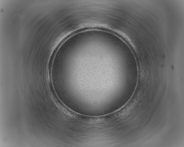 X0000076440887200610161243