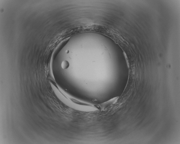 X0000076440916200610161242