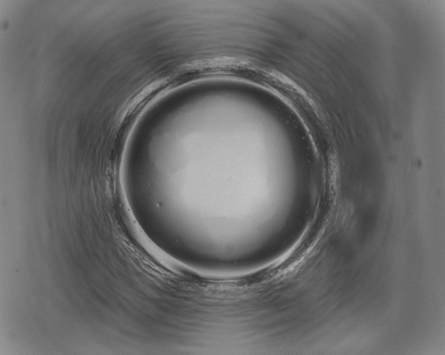 X0000076440921200610161242