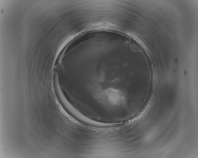 X0000076440941200610161243