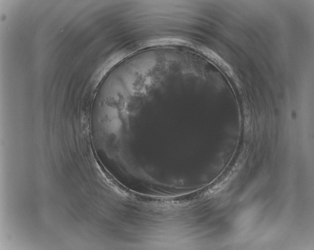X0000076440945200610161243