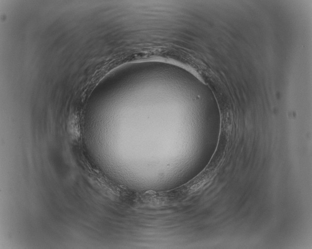 X0000076440962200610161242