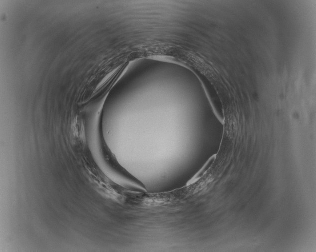 X0000076441010200610161241