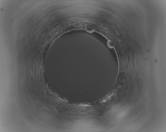 X0000076441013200610161241