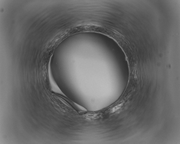X0000076441014200610161241