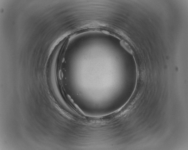 X0000076441026200610161241