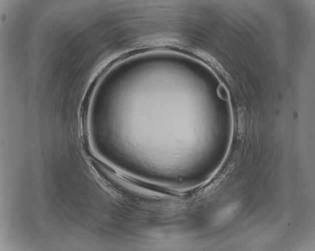 X0000076441031200610161241