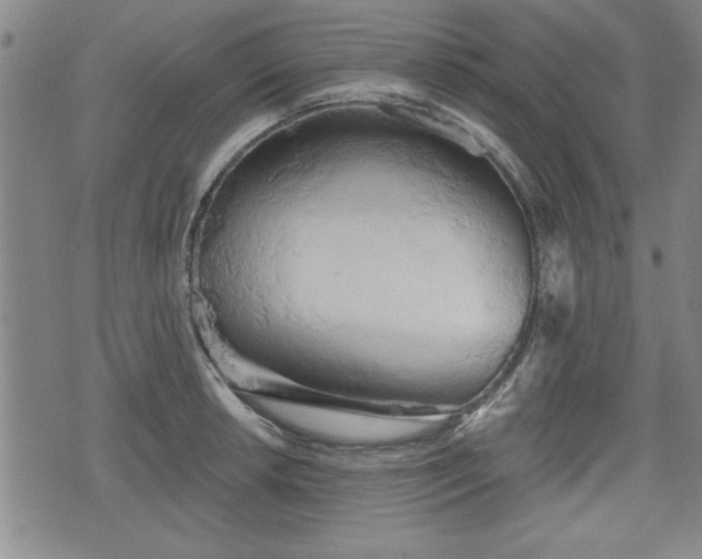 X0000076441042200610161241