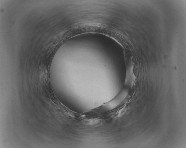 X0000076441061200610161240