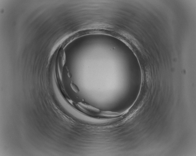 X0000076441069200610161240
