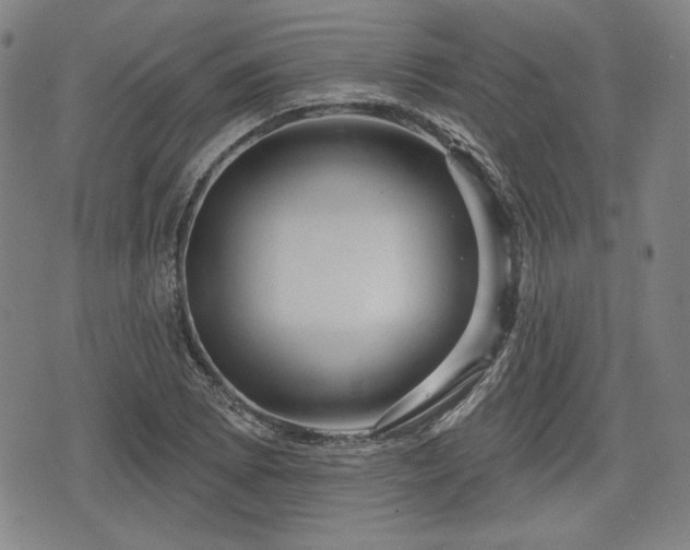 X0000076441073200610161240