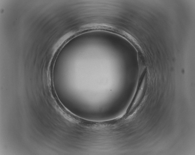 X0000076441082200610161240