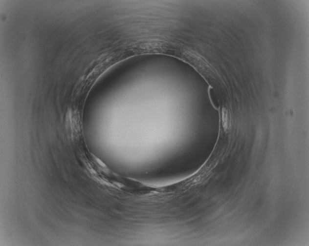 X0000076441107200610161239