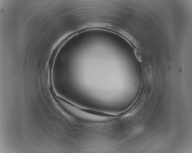 X0000076441127200610161239