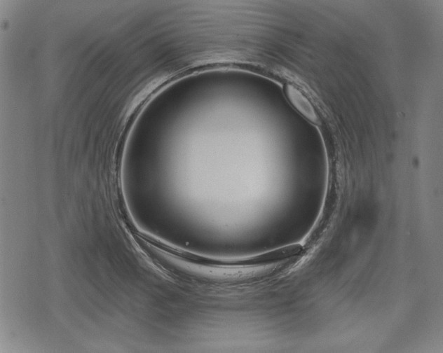 X0000076441129200610161239