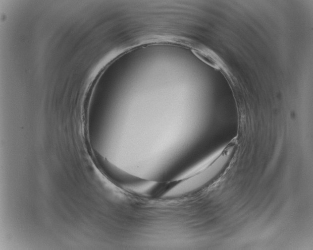 X0000076441143200610161239