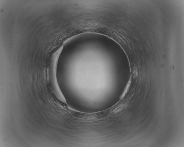 X0000076441156200610161239