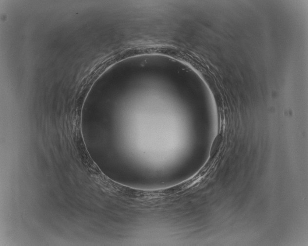 X0000076441157200610161239
