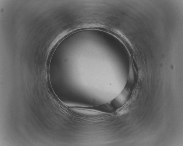 X0000076441173200610161239