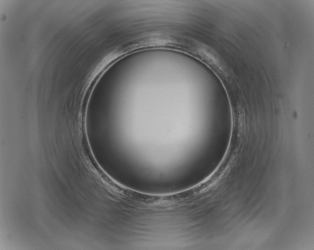 X0000076441178200610161238