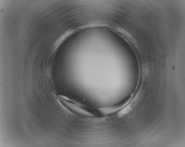 X0000076441185200610161238