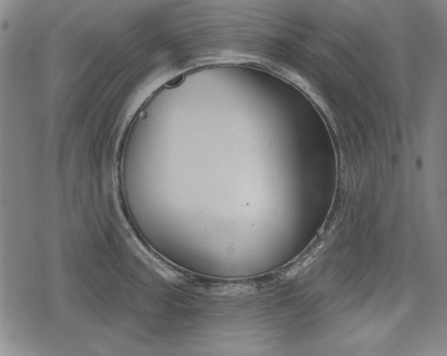 X0000076441187200610161238