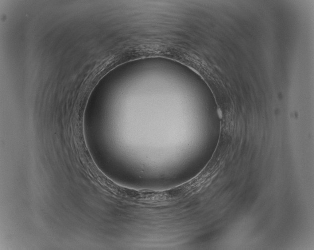 X0000076441201200610161237
