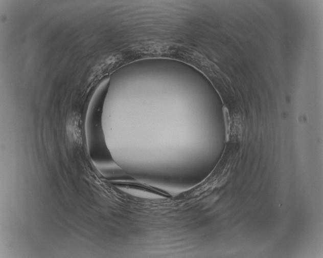 X0000076441202200610161237