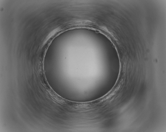 X0000076441211200610161237