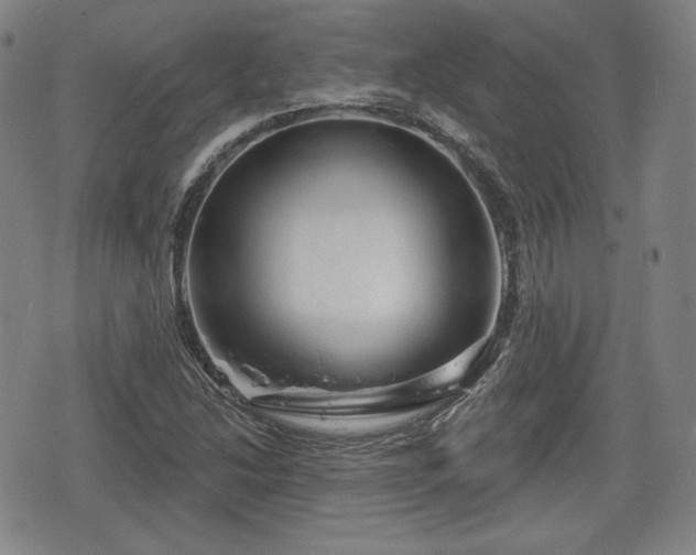 X0000076441214200610161238
