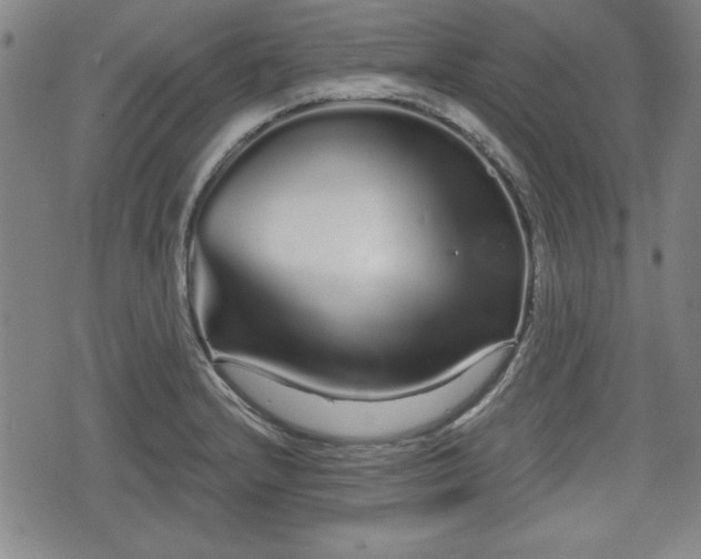 X0000076441232200610161238
