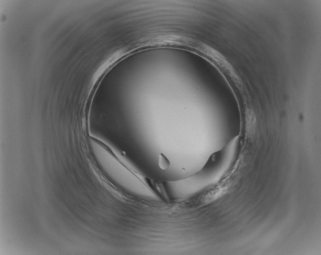X0000076441234200610161238
