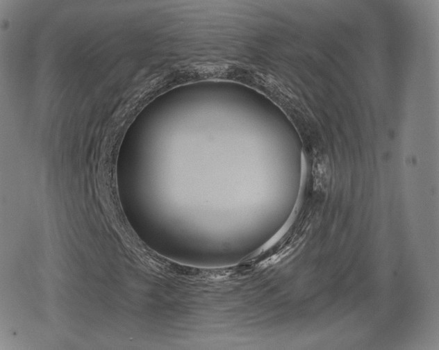 X0000076441249200610161237