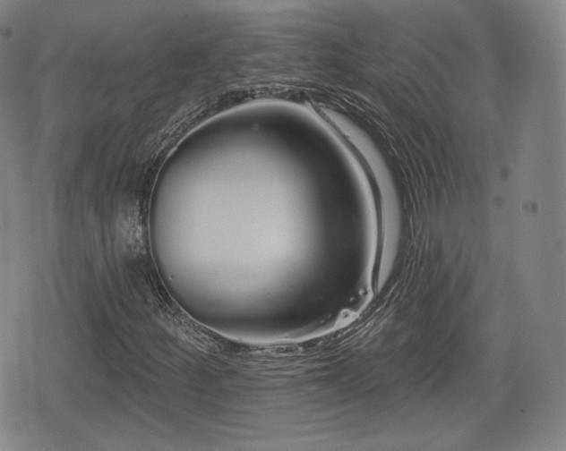 X0000076441252200610161237