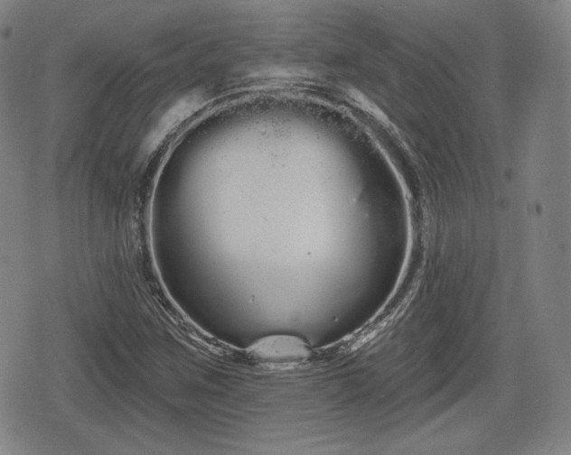 X0000076441259200610161237