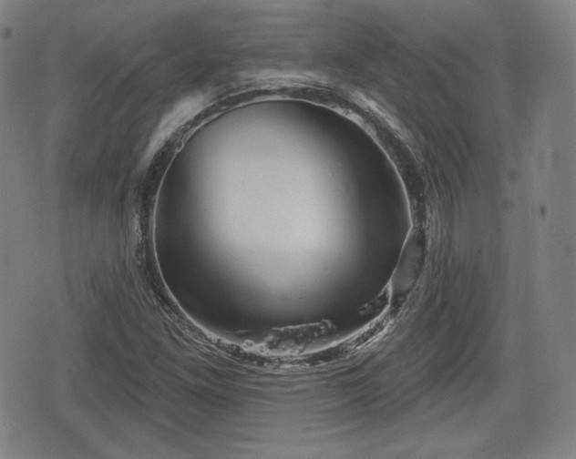 X0000076441261200610161237