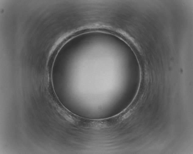 X0000076441270200610161237