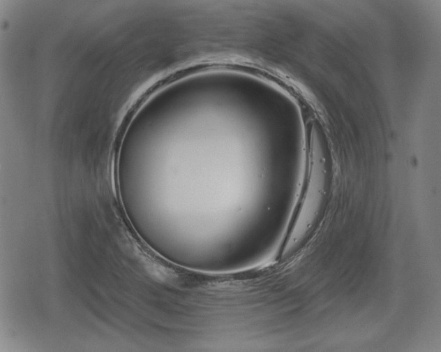 X0000076441272200610161237