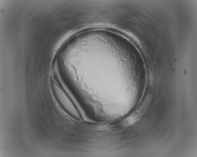 X0000076441279200610161237