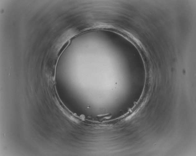 X0000076441281200610161237