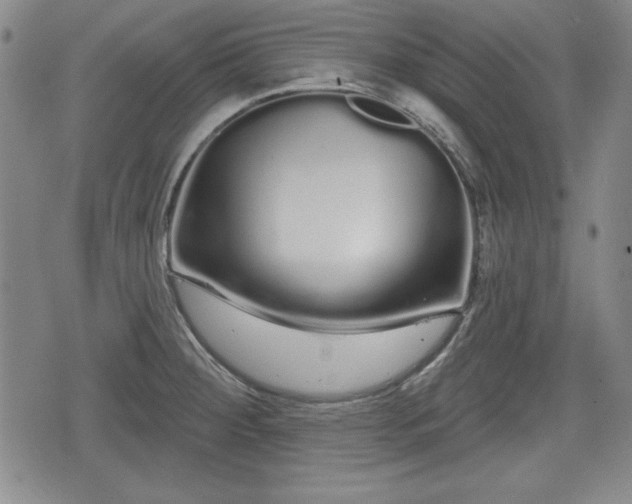 X0000076441284200610161237