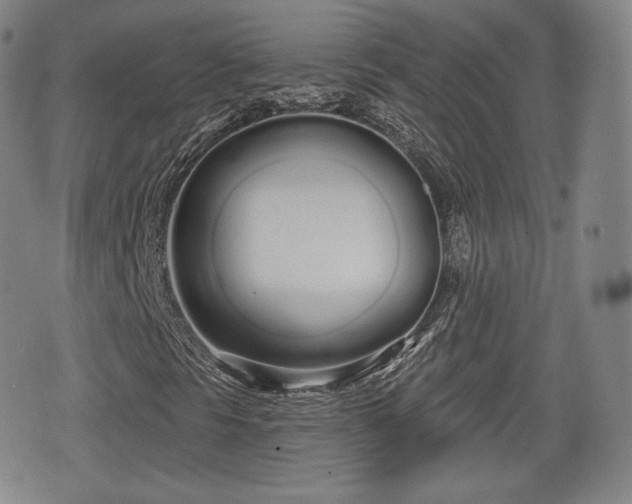 X0000076441297200610161236