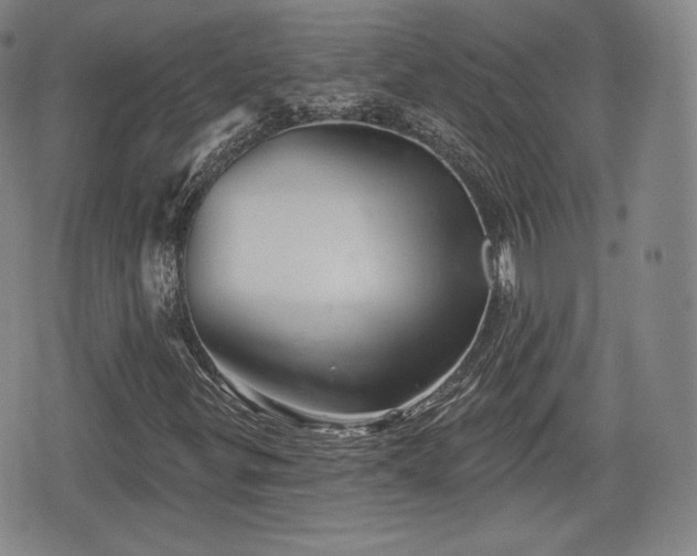 X0000076441299200610161236