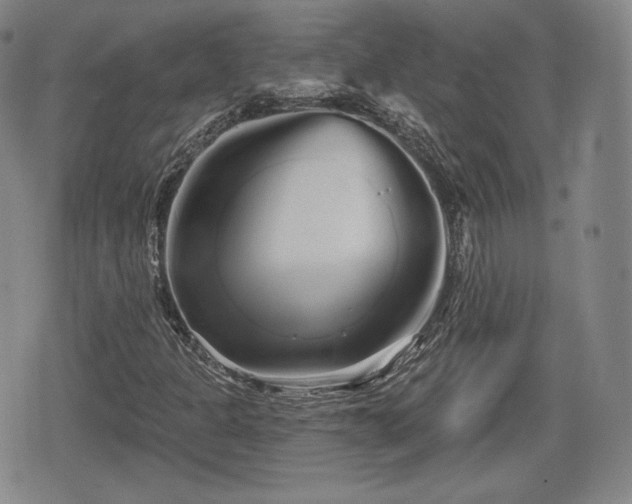 X0000076441301200610161236